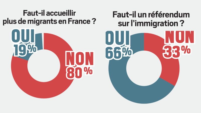 Francja sondaż imigranci