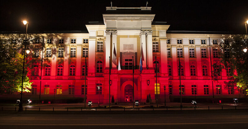 bałagan polski Michał Strąk