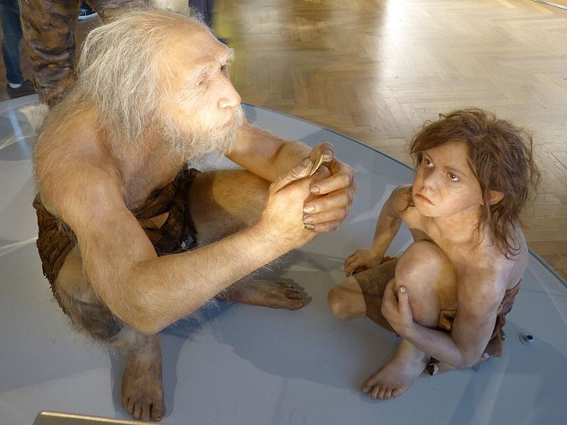 Neandertalczycy