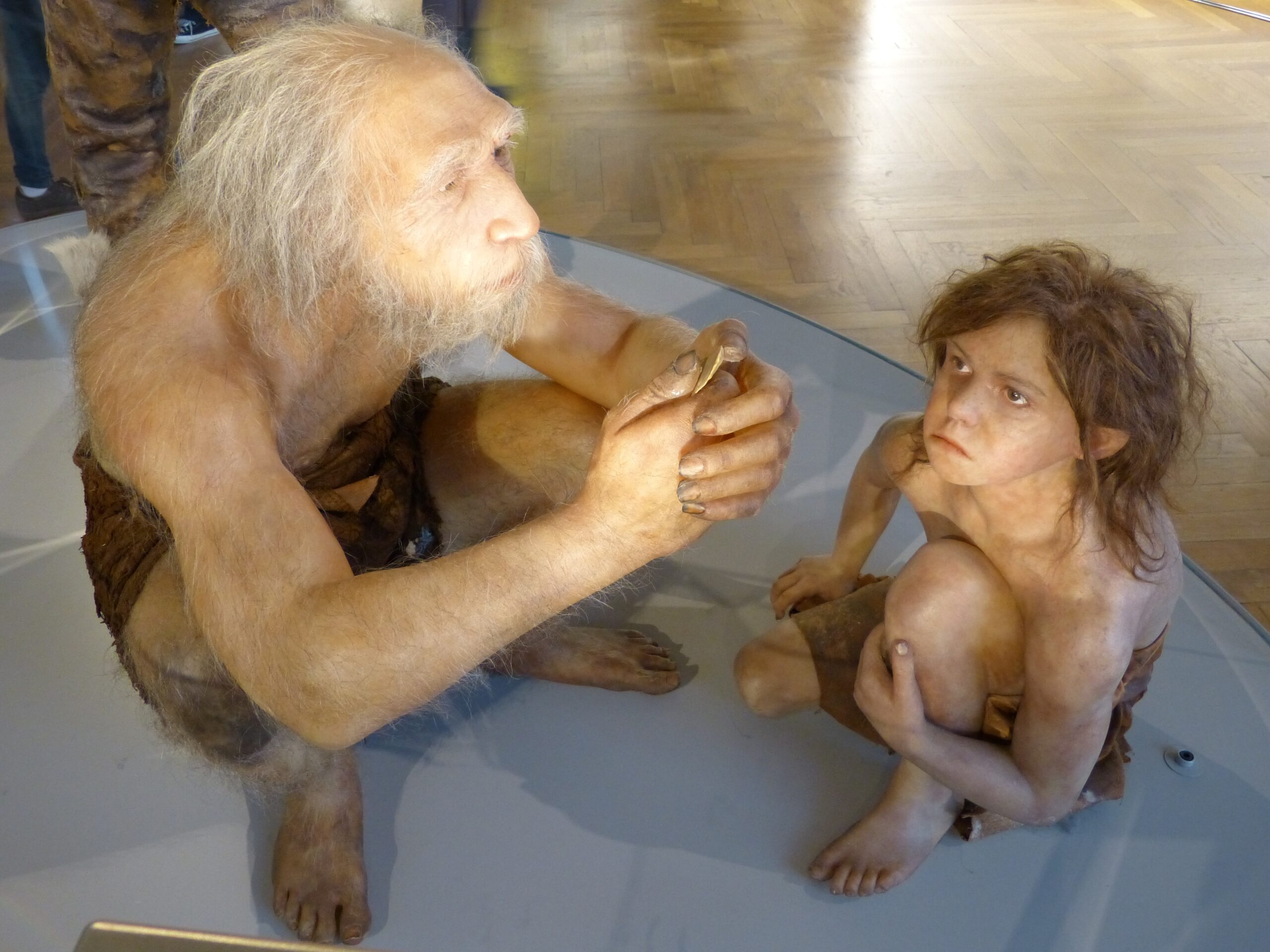 Czy neandertalczycy potrafili mówić?