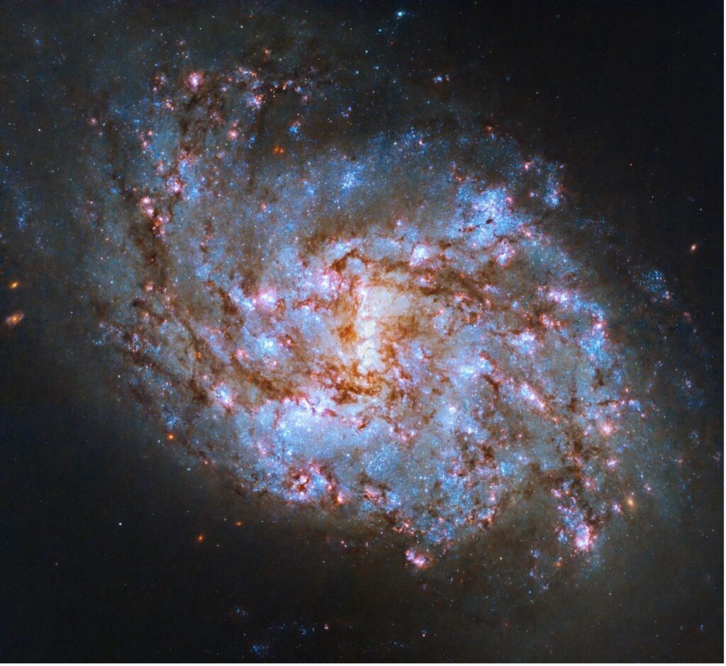 NGC 1087