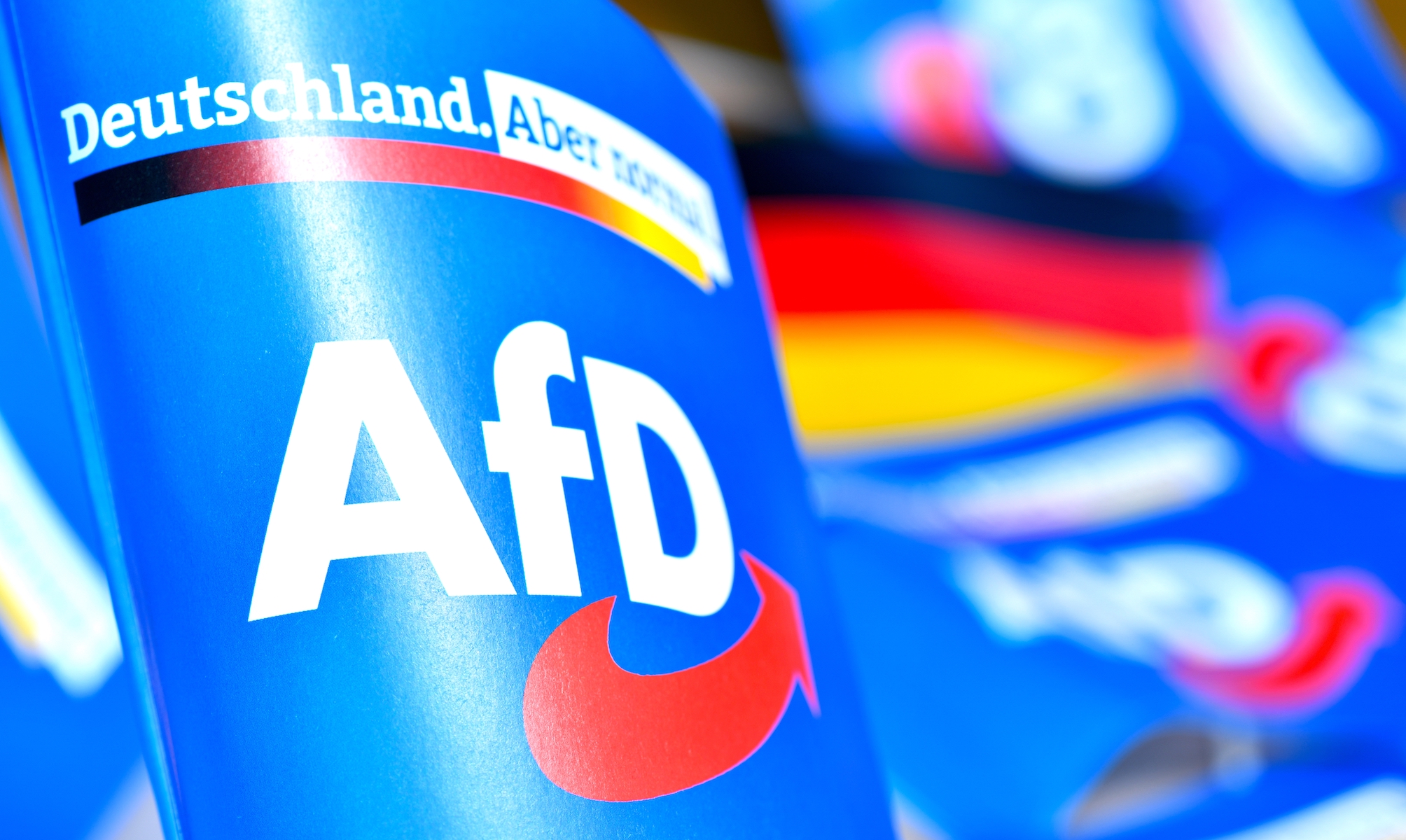 Niemcy wybory, wyniki AfD w wyborach w Niemczech, wybory w Niemczech, Niemcy, AfD, sondaże AfD, program AfD