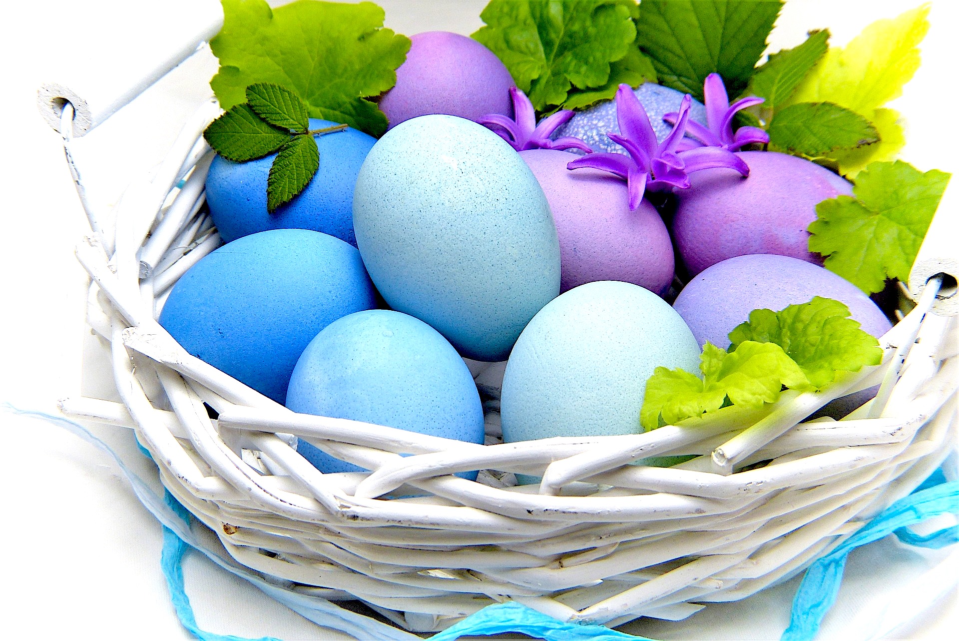 jajko wpływ jajek na zdrowie