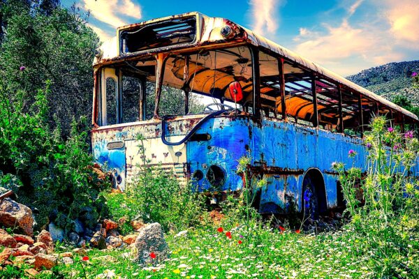 ustawa o publicznym transporcie